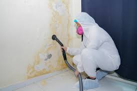 Best Biohazard Mold Removal in Eureka, CA